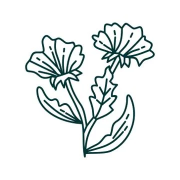 Flower Leaf Illustration Design Template Vector Illustration