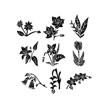 Flower Leaf Illustration Design Template Vector Stock-Illustration