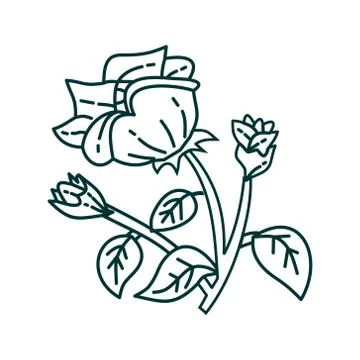 Flower Leaf Illustration Design Template Vector Stock-Illustration