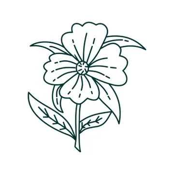 Flower Leaf Illustration Design Template Vector Illustration