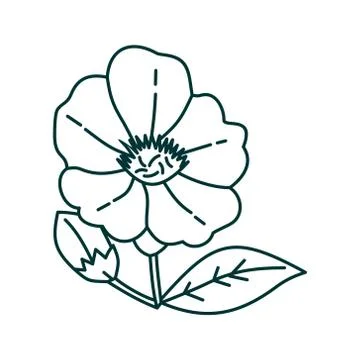 Flower Leaf Illustration Design Template Vector Ilustração Stock