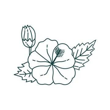 Flower Leaf Illustration Design Template Vector Illustration