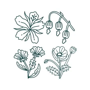 Flower Leaf Illustration Design Template Vector Stock-Illustration