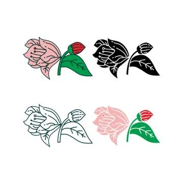 Flower Leaf Illustration Design Template Vector Ilustração Stock