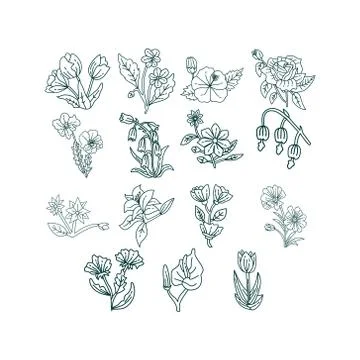 Flower Leaf Illustration Design Template Vector Illustrazione stock