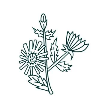 Flower Leaf Illustration Design Template Vector Illustration