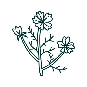 Flower Leaf Illustration Design Template Vector Illustration