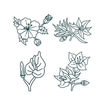 Flower Leaf Illustration Design Template Vector Illustrazione stock