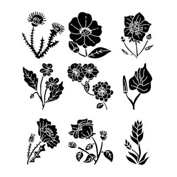 Flower Leaf Illustration Design Template Vector Illustration