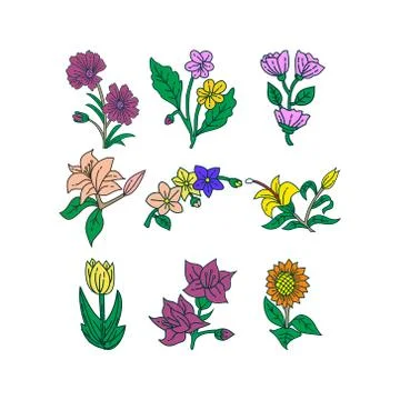 Flower Leaf Illustration Design Template Vector Stock Illustration
