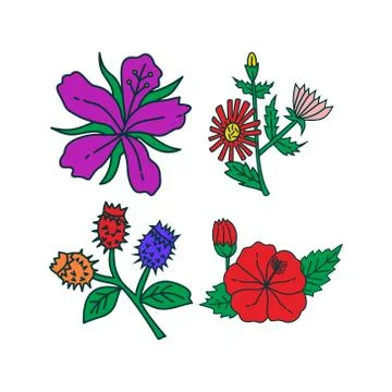 Flower Leaf Illustration Design Template Vector Illustration
