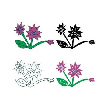 Flower Leaf Illustration Design Template Vector Stock-Illustration