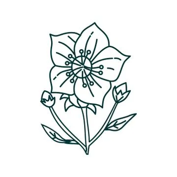 Flower Leaf Illustration Design Template Vector Illustration