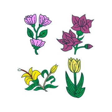 Flower Leaf Illustration Design Template Vector Illustration