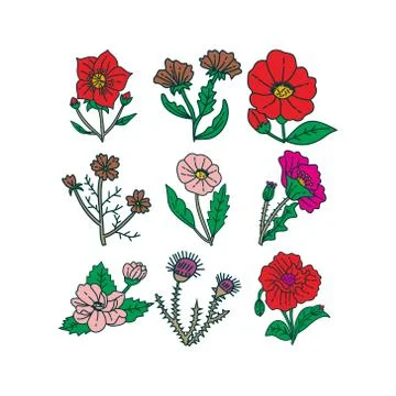 Flower Leaf Illustration Design Template Vector Illustration