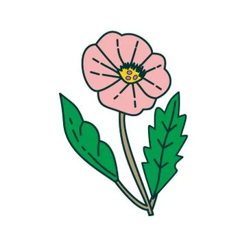 Flower Leaf Illustration Design Template Vector Illustration