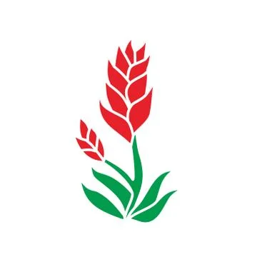 Flower Leaf Illustration Design Template Vector Illustration