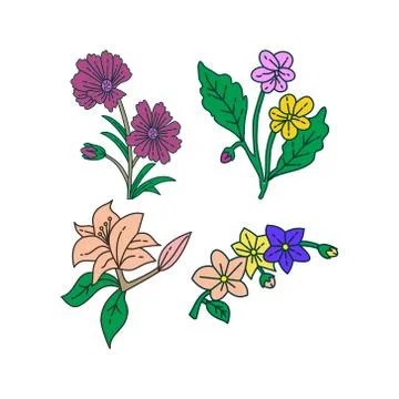 Flower Leaf Illustration Design Template Vector Illustration