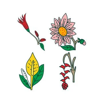 Flower Leaf Illustration Design Template Vector Stock-Illustration
