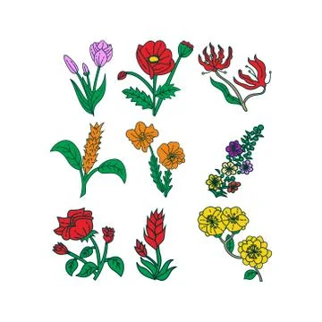 Flower Leaf Illustration Design Template Vector Stock-Illustration