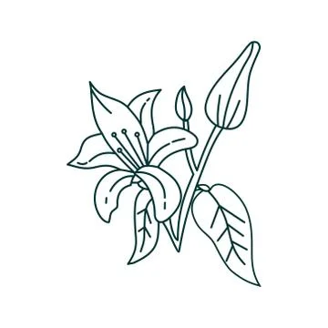 Flower Leaf Illustration Design Template Vector Ilustração Stock