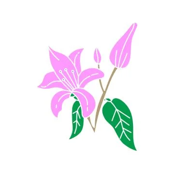 Flower Leaf Illustration Design Template Vector イラスト素材