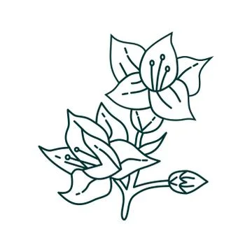 Flower Leaf Illustration Design Template Vector Illustration