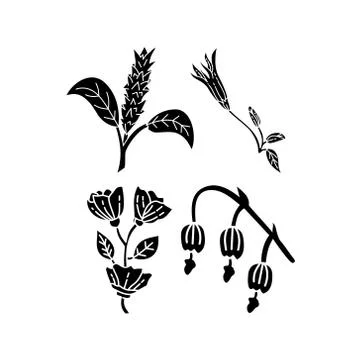 Flower Leaf Illustration Design Template Vector Ilustração Stock