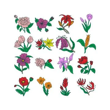 Flower Leaf Illustration Design Template Vector Stock-Illustration
