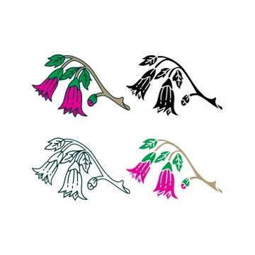 Flower Leaf Illustration Design Template Vector Illustration