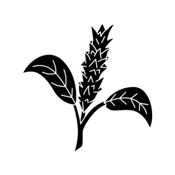 Flower Leaf Illustration Design Template Vector Illustration