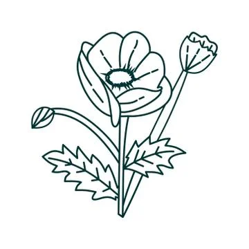 Flower Leaf Illustration Design Template Vector Illustrazione stock