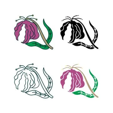 Flower Leaf Illustration Design Template Vector Illustration