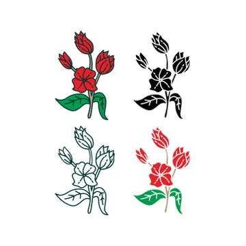 Flower Leaf Illustration Design Template Vector Illustration