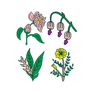 Flower Leaf Illustration Design Template Vector Ilustração Stock