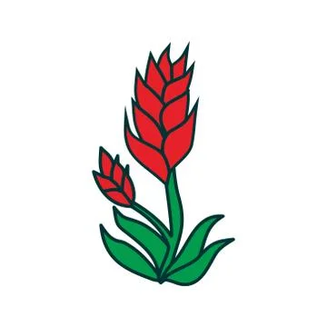 Flower Leaf Illustration Design Template Vector Illustration