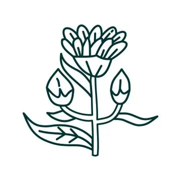 Flower Leaf Illustration Design Template Vector Ilustração Stock