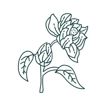 Flower Leaf Illustration Design Template Vector Illustration
