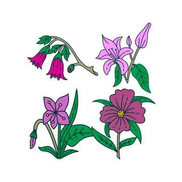 Flower Leaf Illustration Design Template Vector Stock Illustration