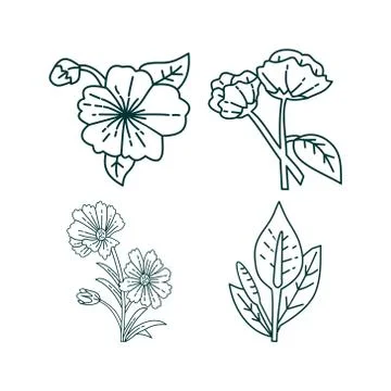 Flower Leaf Illustration Design Template Vector Illustrazione stock