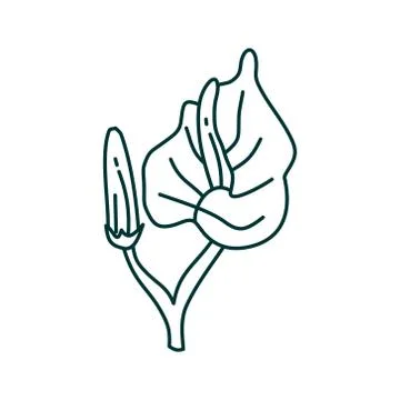 Flower Leaf Illustration Design Template Vector 库存插图