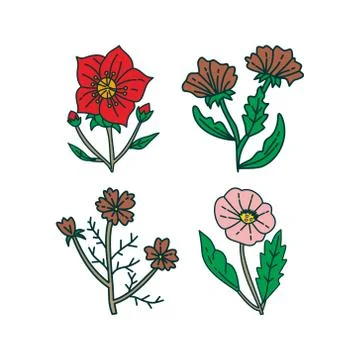 Flower Leaf Illustration Design Template Vector Stock Illustration