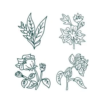 Flower Leaf Illustration Design Template Vector Stock-Illustration