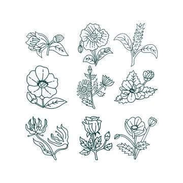 Flower Leaf Illustration Design Template Vector Stock Illustration