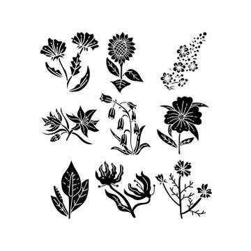 Flower Leaf Illustration Design Template Vector Illustration