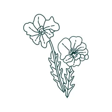 Flower Leaf Illustration Design Template Vector Illustration