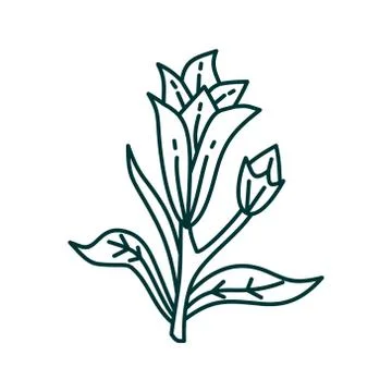 Flower Leaf Illustration Design Template Vector Ilustração Stock