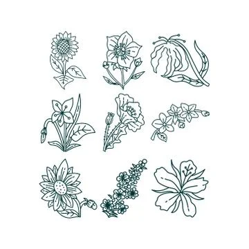 Flower Leaf Illustration Design Template Vector Illustrazione stock