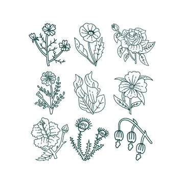 Flower Leaf Illustration Design Template Vector Ilustração Stock