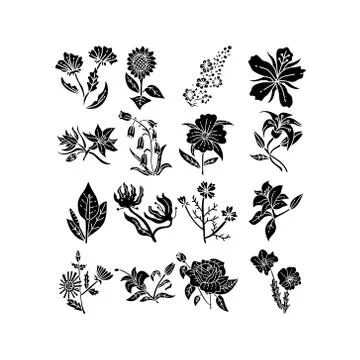 Flower Leaf Illustration Design Template Vector Illustrazione stock